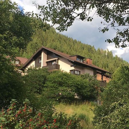 Haus Agnes, Murau Extérieur photo