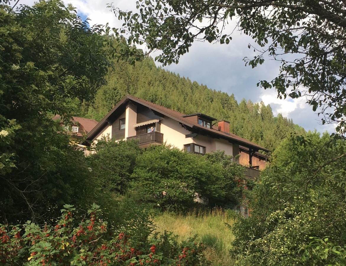 Haus Agnes, Murau Extérieur photo